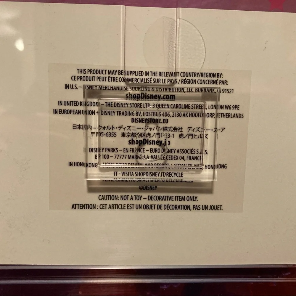 2024 WDW Pink Picture Frame- 4x6
